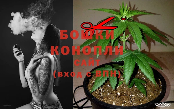 apvp Краснослободск