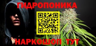 ГАЛЛЮЦИНОГЕННЫЕ ГРИБЫ Балахна