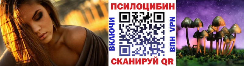 Галлюциногенные грибы Psilocybe  магазин    маркетплейс формула  Невинномысск 
