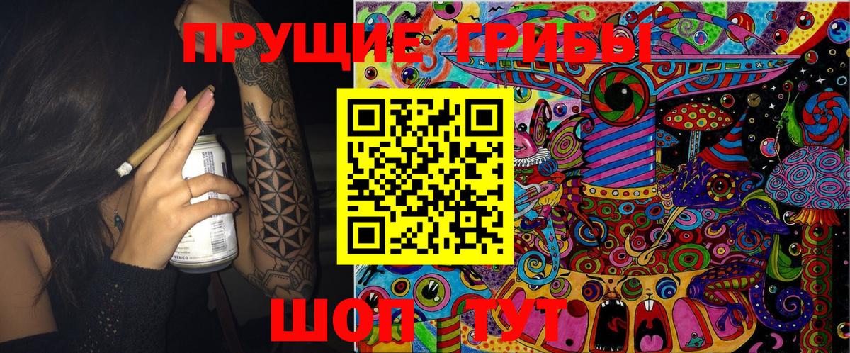 что такое   Невинномысск  Псилоцибиновые грибы мицелий 