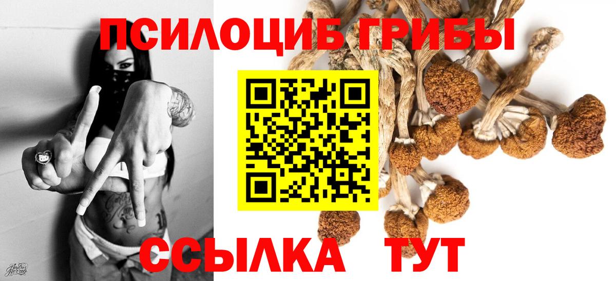 Псилоцибиновые грибы GOLDEN TEACHER Невинномысск