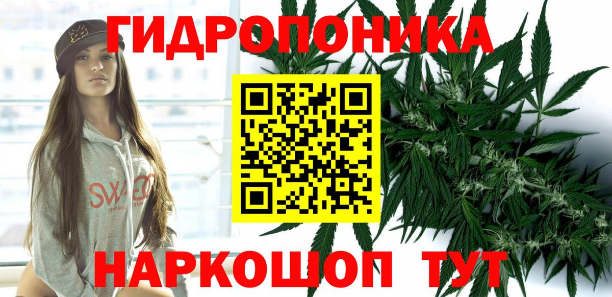 Каннабис индика Невинномысск